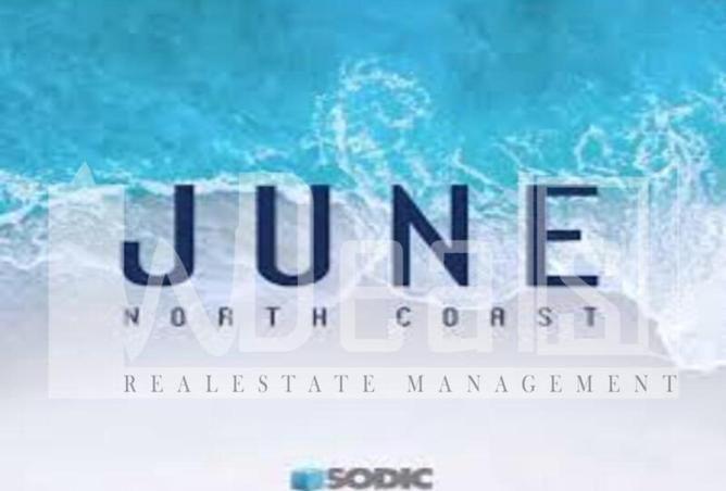 63146664 - Property Image 3