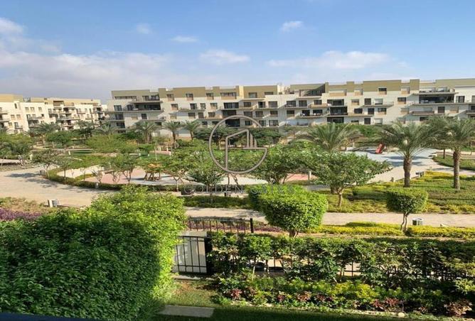 8588398 - صورة العقار 3