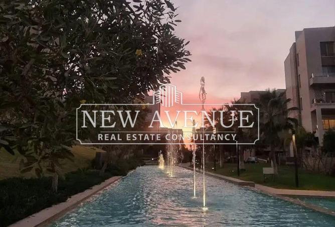 57488967 - Property Image 3