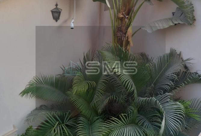 55251339 - صورة العقار 3