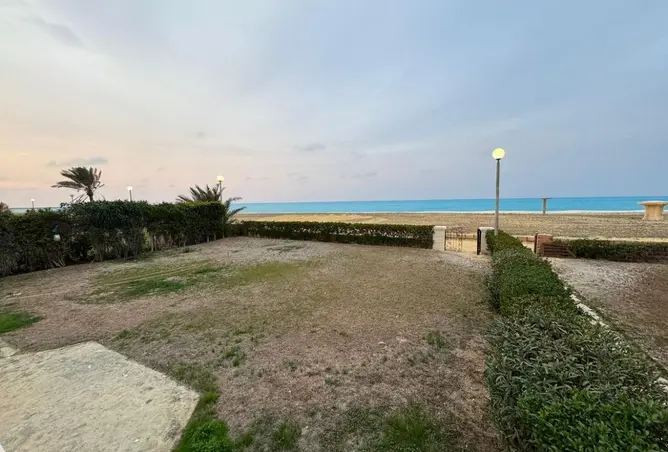 118282490 - صورة العقار 3