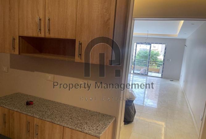 66438929 - Property Image 3