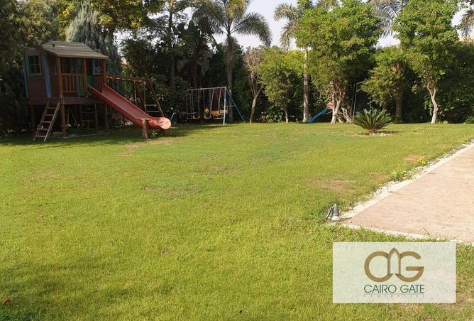 66949693 - صورة العقار 2