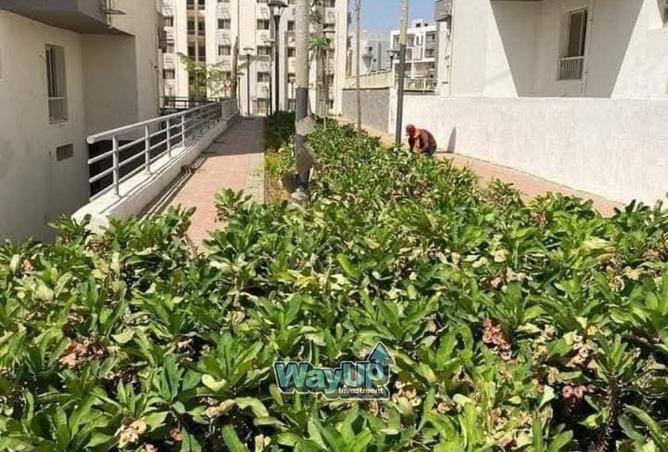 8467799 - Property Image 2