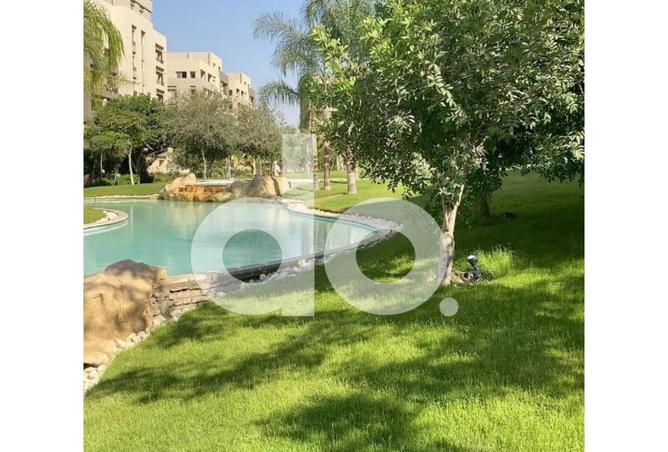 57746446 - Property Image 3