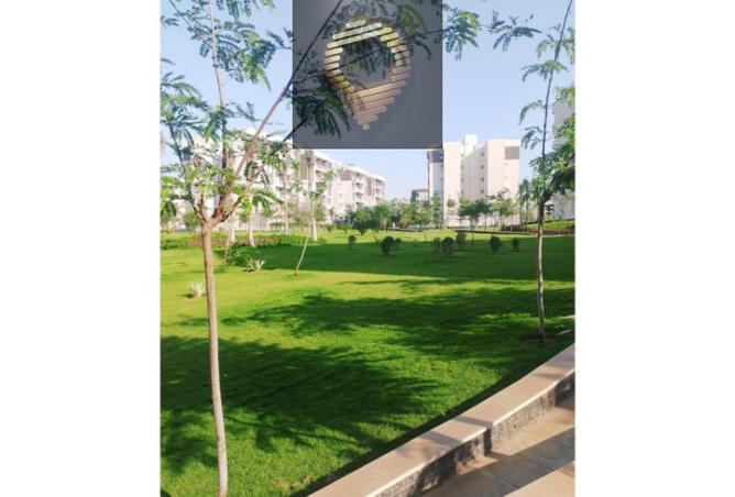 8604340 - صورة العقار 2