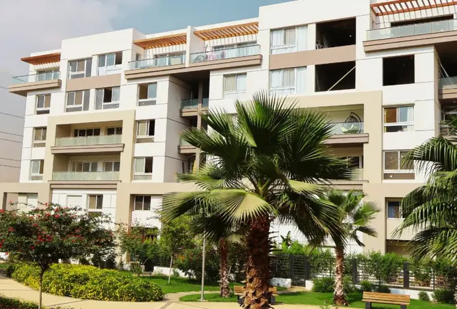 98277623 - Property Image 3