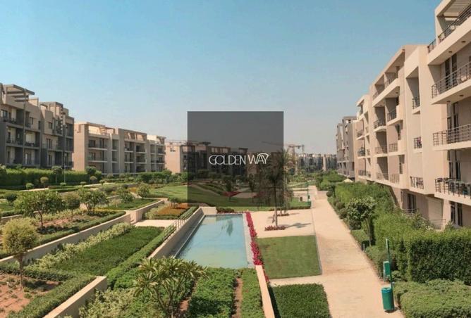 53221788 - Property Image 2