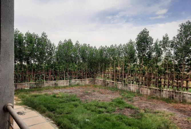 52718423 - الصورة الرئيسية للعقار