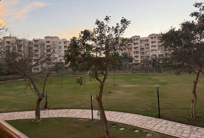 54745744 - صورة العقار 3