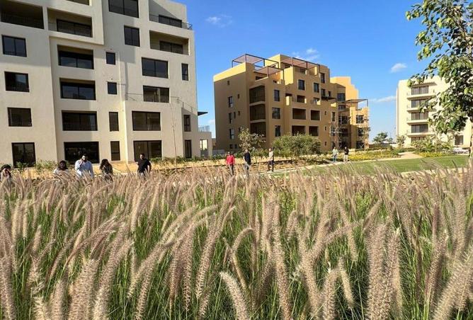 8585371 - صورة العقار 2