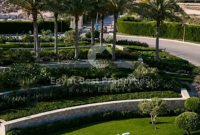 113543569 - صورة العقار 3
