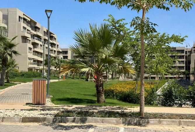 62651542 - Property Image 3