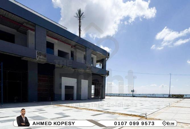 67737100 - صورة العقار 3