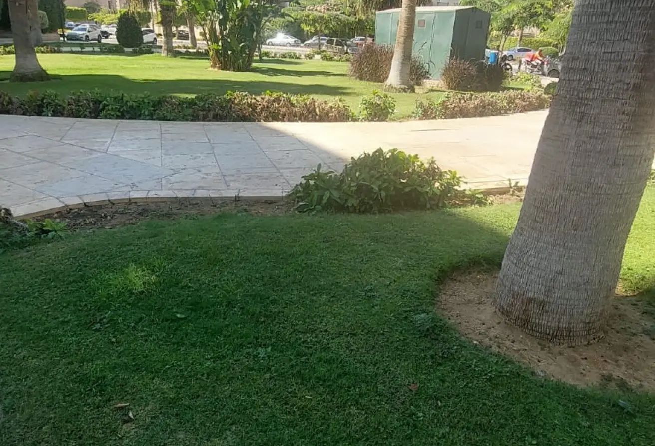 118031813 - الصورة الرئيسية للعقار