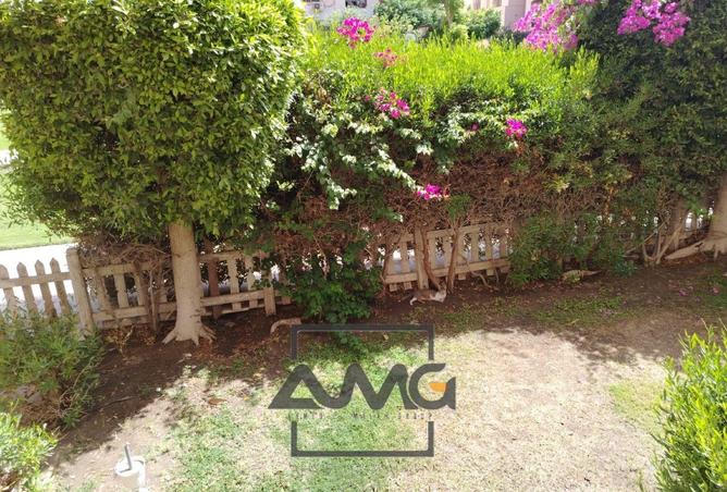 83981060 - صورة العقار 2