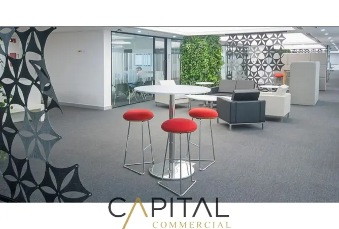 116483771 - Property Image 3