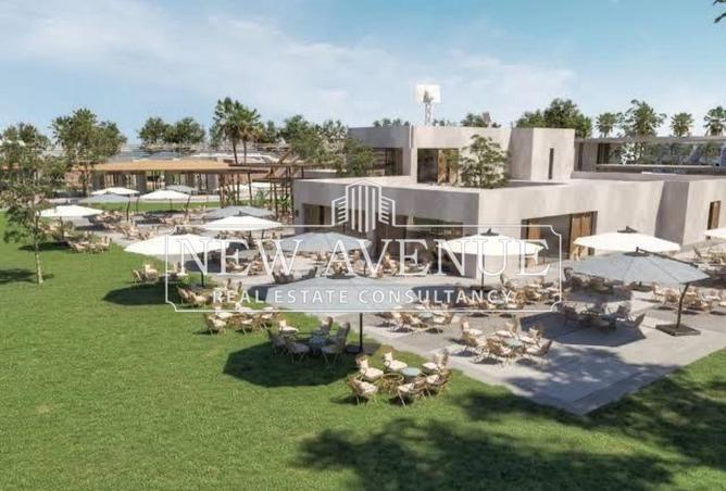 53973761 - Property Image 3