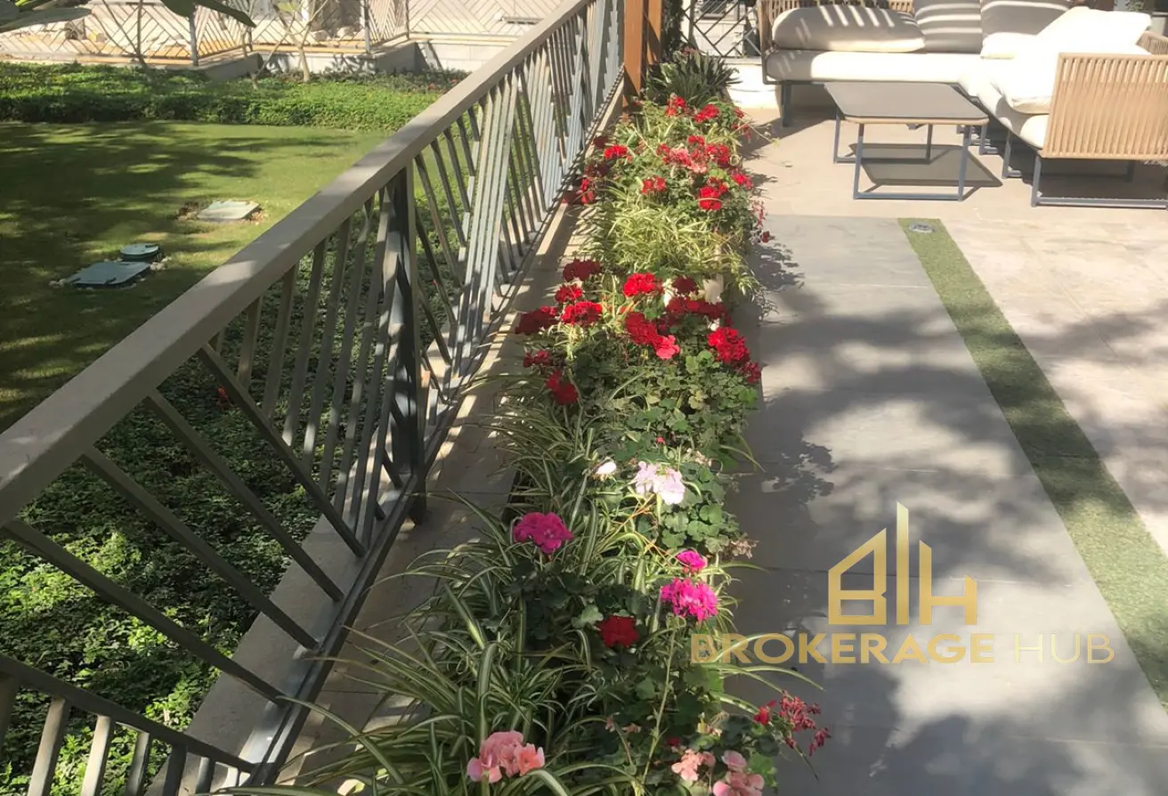 113260979 - الصورة الرئيسية للعقار