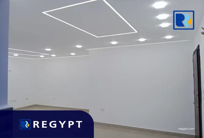 117267353 - Property Image 2