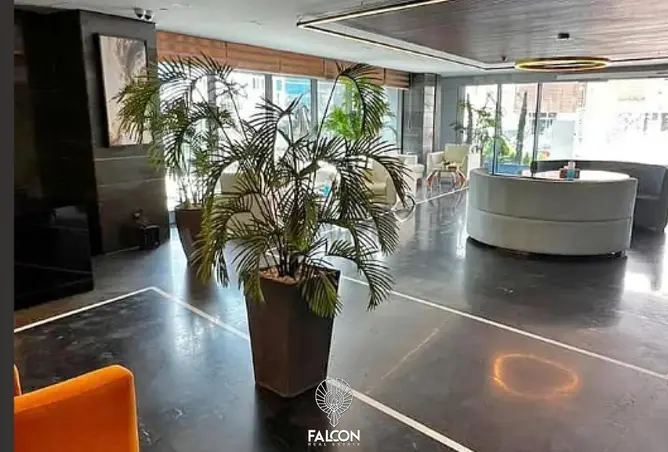 117527365 - صورة العقار 3