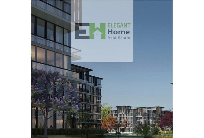 56003281 - Property Image 3