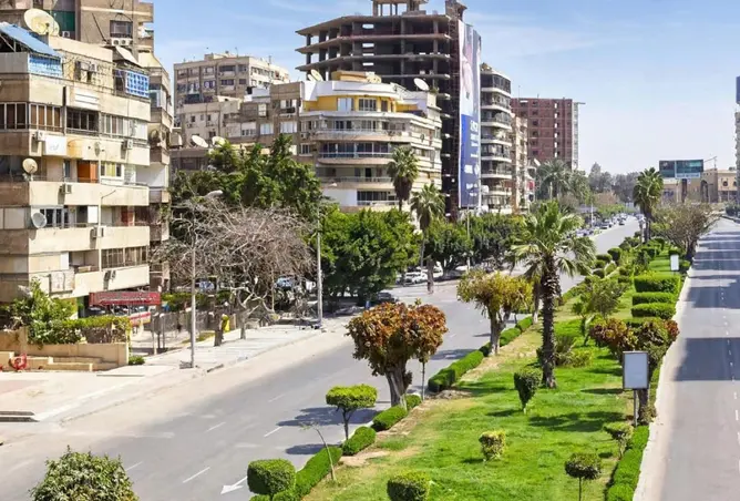 118294101 - صورة العقار 2