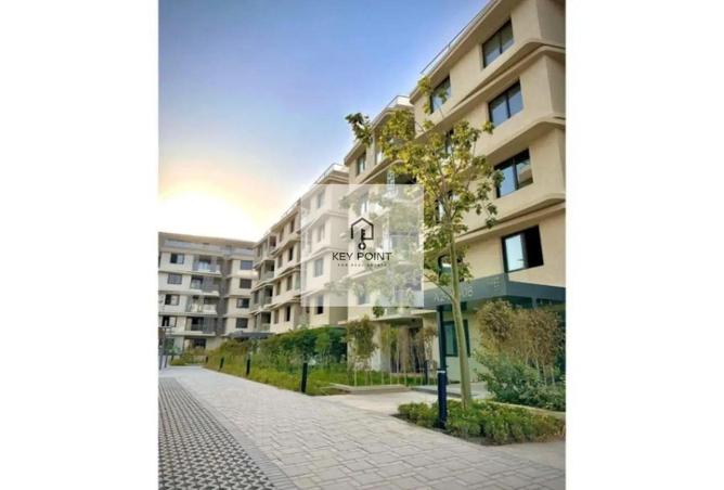 62647875 - Property Image 3