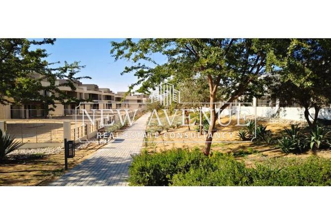 56250455 - Property Image 2