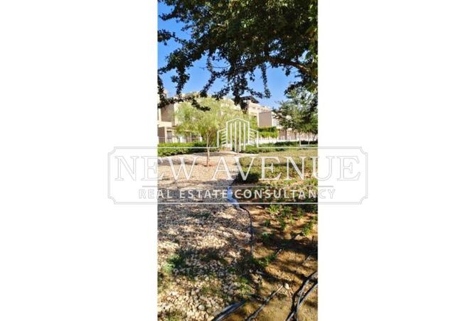 56250455 - Property Image 3