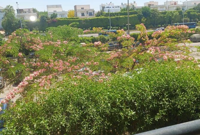 84790722 - صورة العقار 2