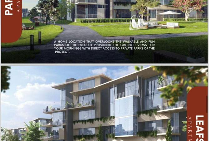 62649874 - Property Image 3