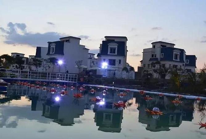 62410030 - صورة العقار 3