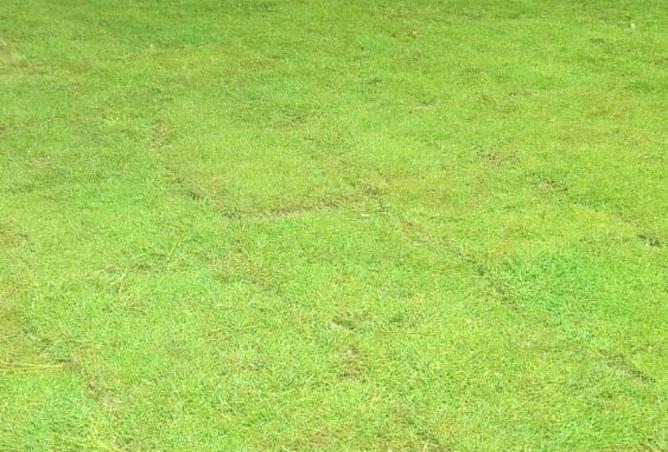 64899363 - Property Image 2