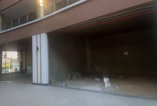 64397800 - Property Image 2