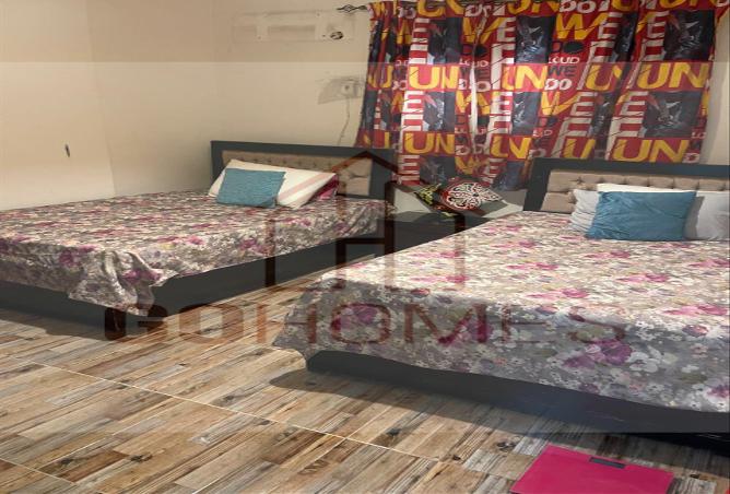 8591654 - Property Image 3