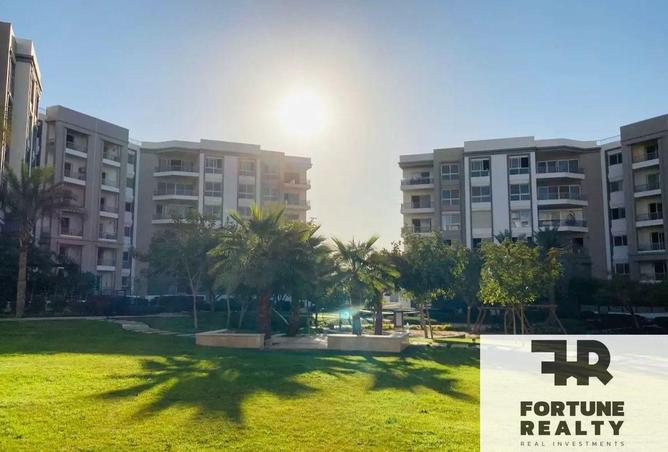 56251289 - Property Image 3