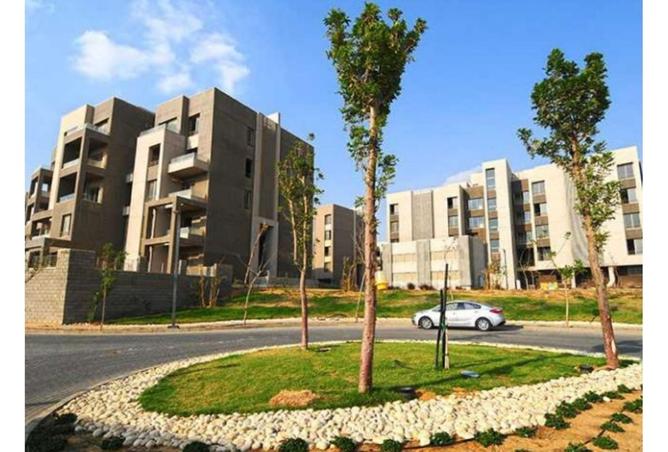 8410460 - Property Image 3