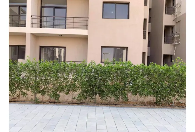 113260564 - Property Image 3