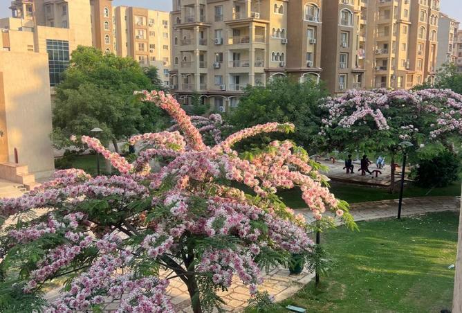 96870136 - صورة العقار 3