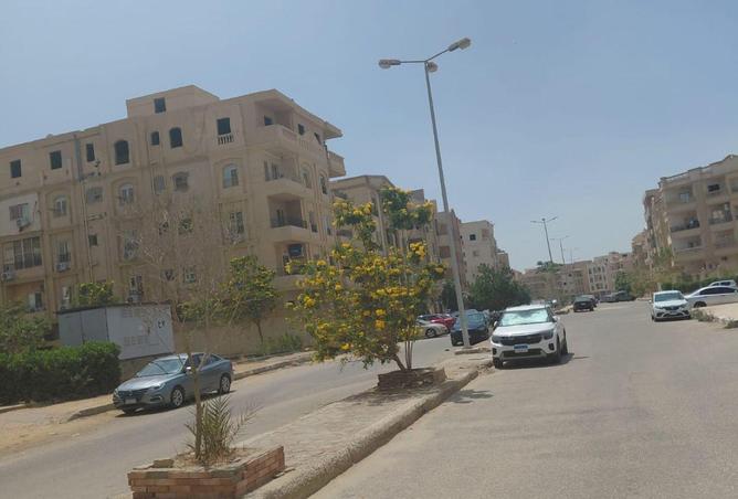 70626667 - صورة العقار 3