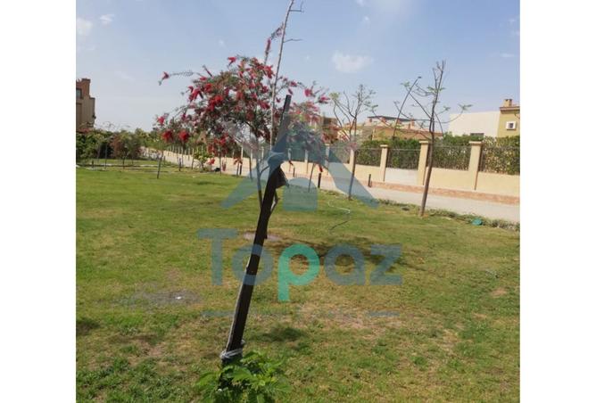 96578398 - Property Main Image
