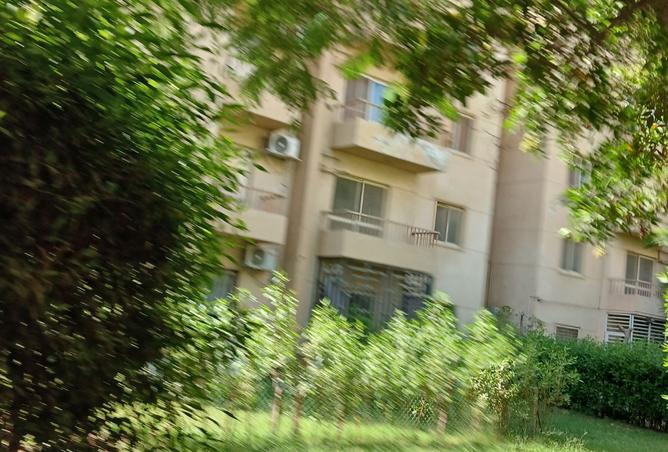 108519081 - صورة العقار 3