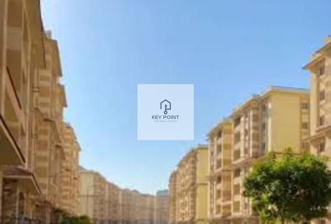 63392478 - Property Image 3