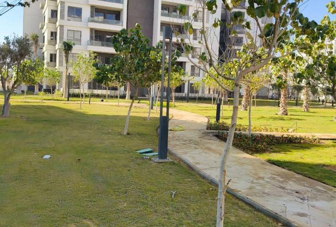 66959360 - Property Image 3