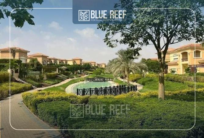 69572057 - صورة العقار 3