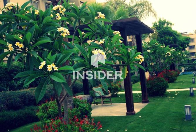 64144681 - صورة العقار 2