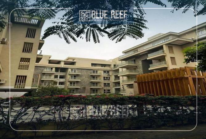 69569089 - صورة العقار 3