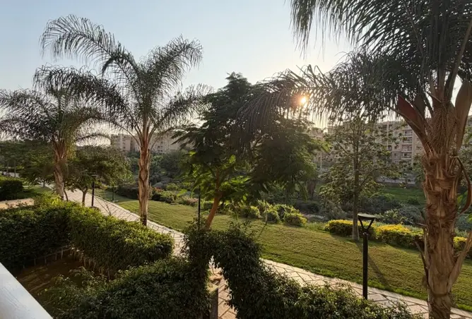 120361965 - Property Image 3