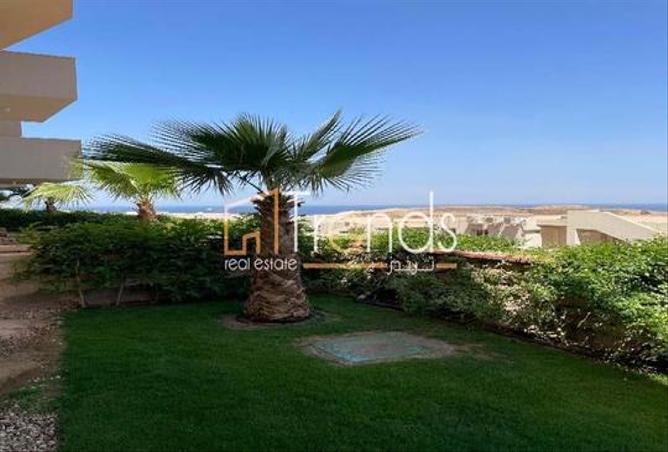 63384812 - Property Image 2